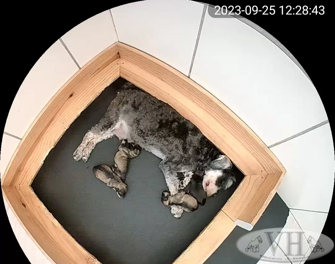  25 de setembro de 2023