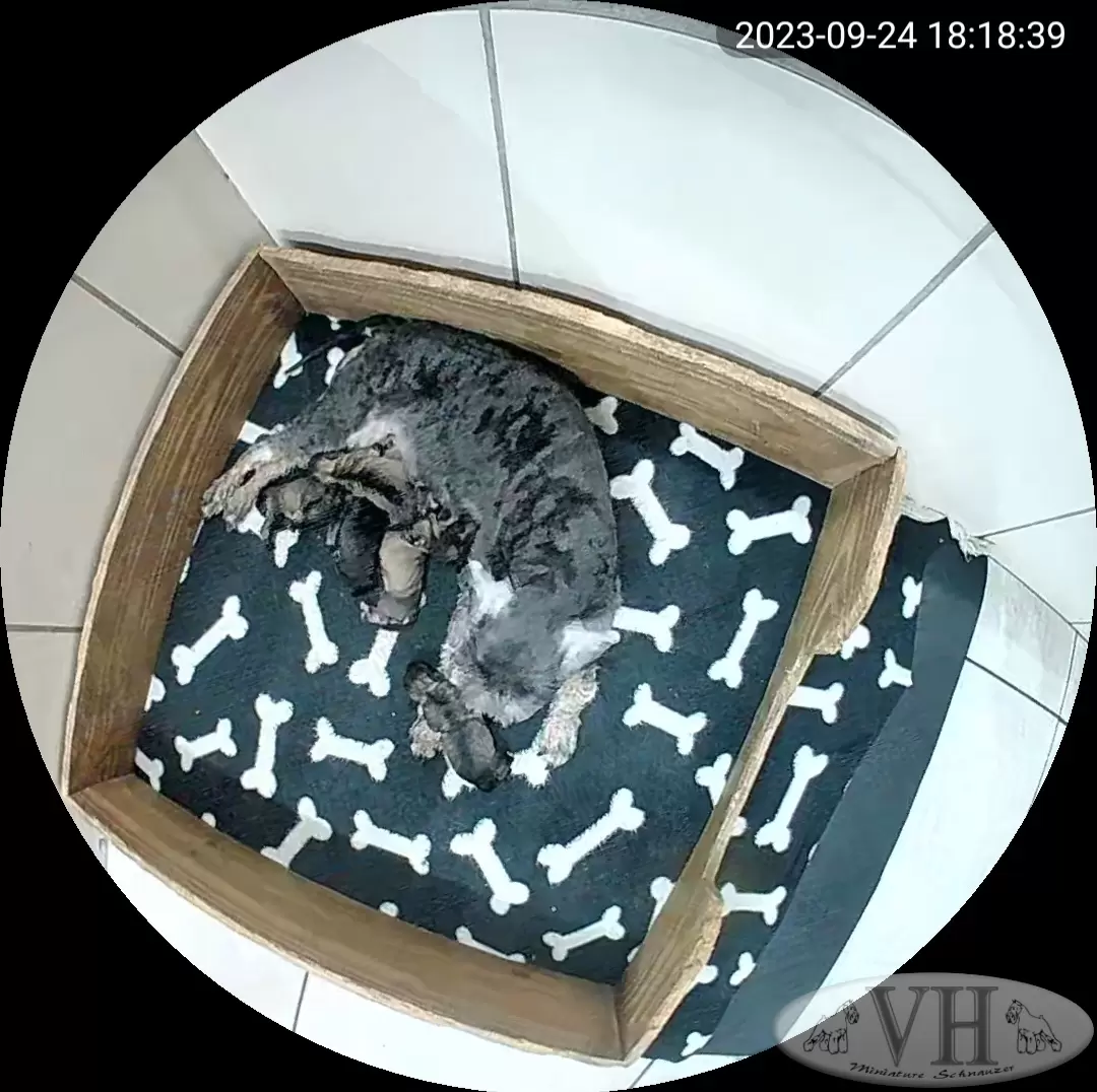  24 de setembro de 2023