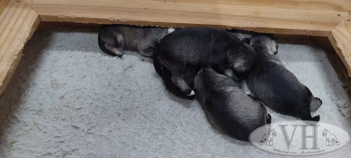 10 de outubro de 2023