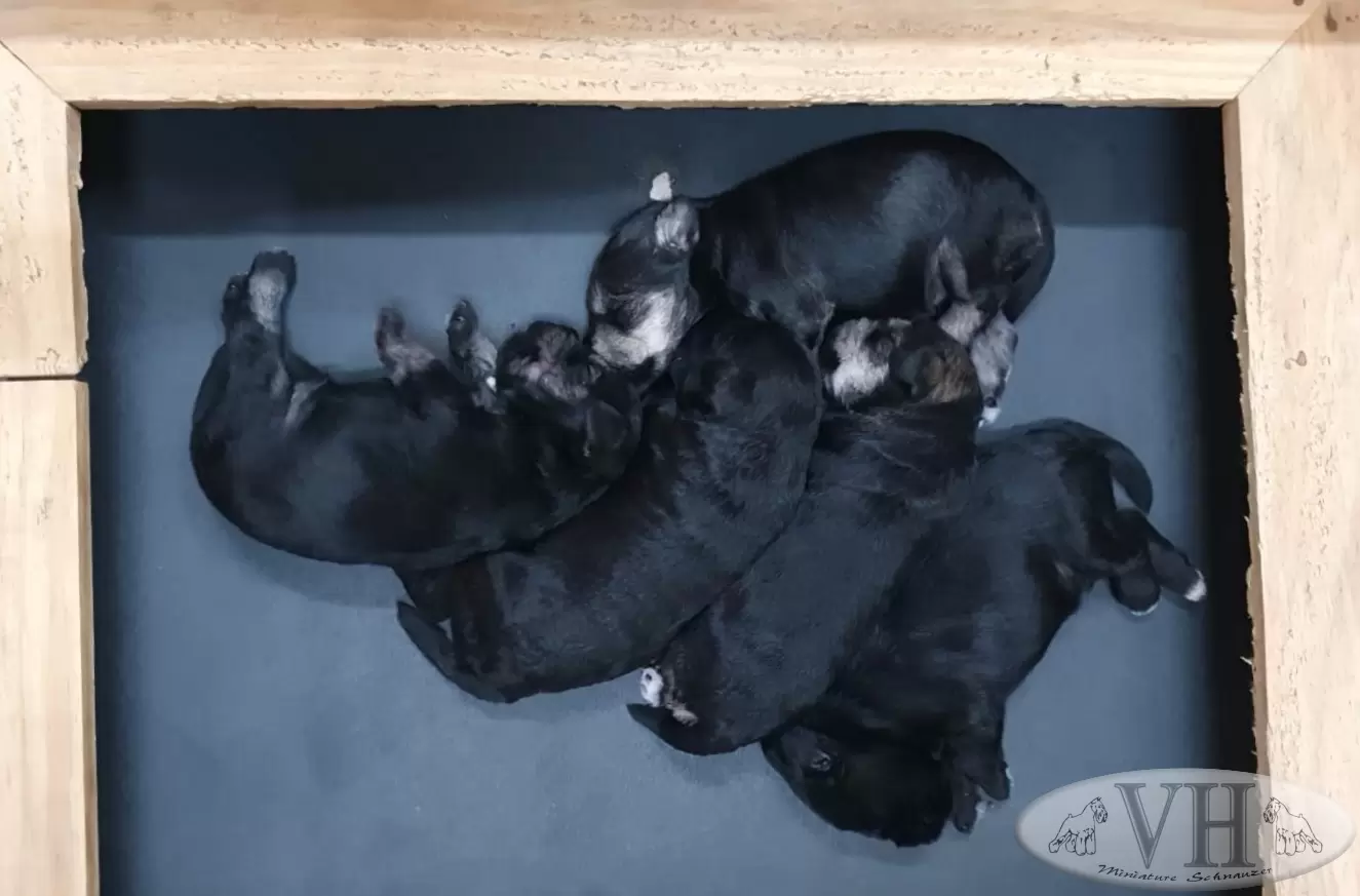 25 de fevereiro de 2024
